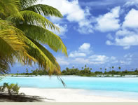 The Beach