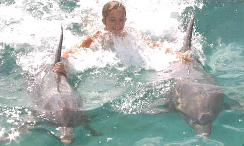 Open Ocean Dolphin Swim - Freeport $219 for 2.5 hours