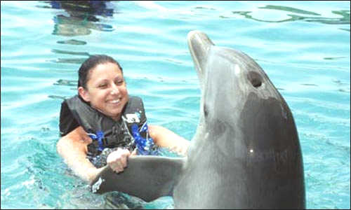 Dolphin close encounter - Freeport, Bahamas $85 for 2.5 hours