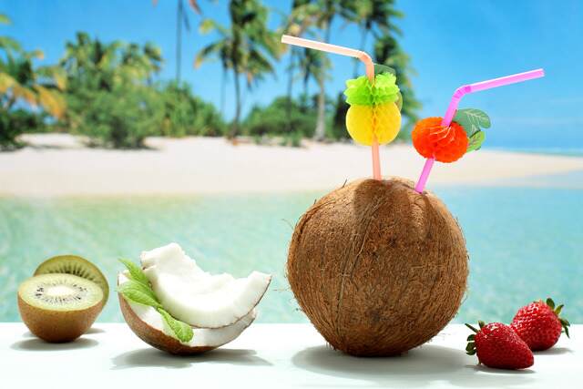 Coconut on the beach in the Bahamas