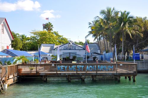 Key West Aquarium