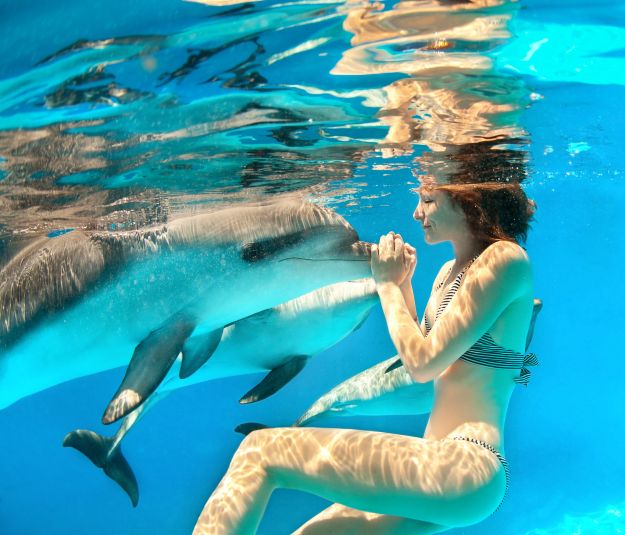 Swim with the dolphins in the Bahamas