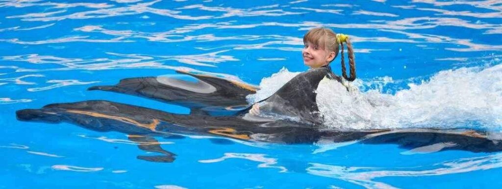 Child and dolphins swimming in blue water