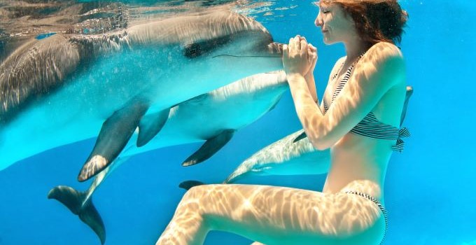 Lady under water swim with a dolphin 680-350 59