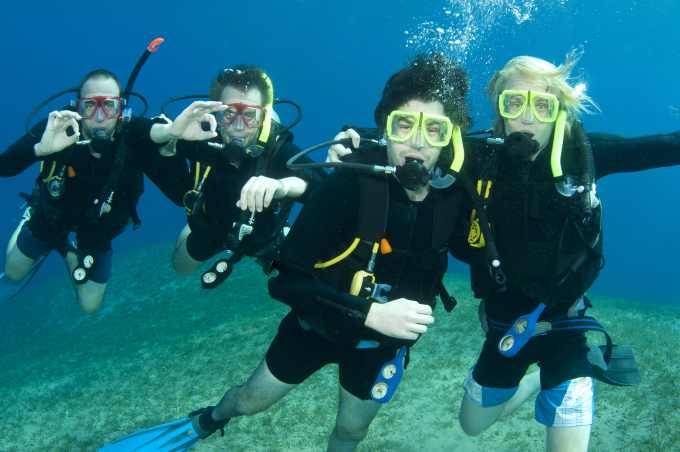 Scuba Dive with the Dolphins in Freeport Bahamas