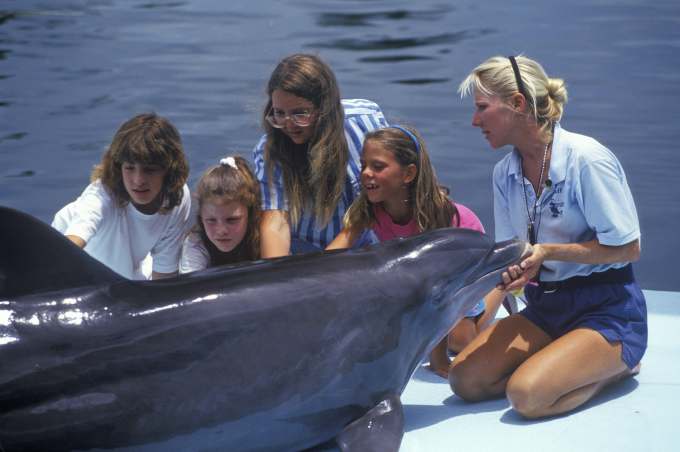 Trainer with dolphin and tourists