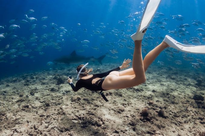 girl snorkeling with dolphins and sharks